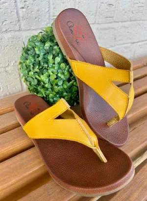 PATRICIAA MUSTARD